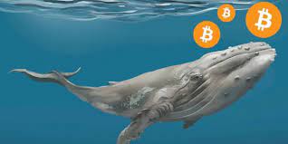 Balinalar Harekete Geçti: Bitcoin (BTC) Toparlanacak mı?