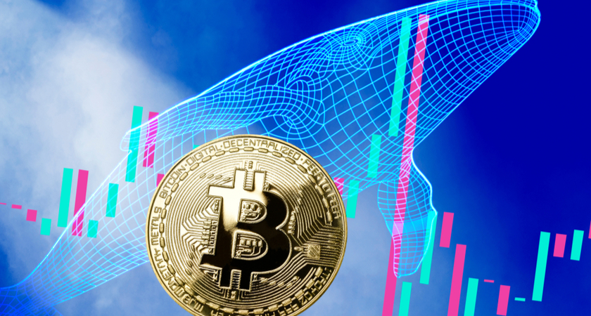 Bitcoin Dipleri Zorlarken Balinalar Alımlara Devam Ediyor: Bir Balina Günlük 25 BTC Satın Alıyor!