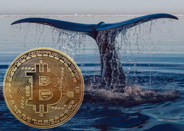 “Uyuyan” Balina Cüzdanı 69 Milyon Dolarlık Bitcoin’i (BTC) Binance’e Gönderdi! İşte Detaylar