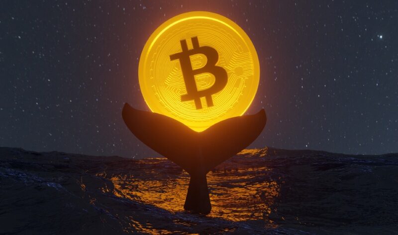 Bitcoin balinası, Coinbase’den yüklü miktarda Bitcoin çıkardı