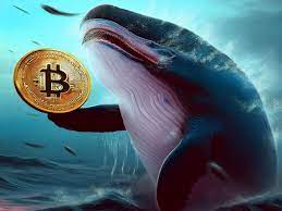 Bitcoin Balinaları ve Madenciler Arasındaki Dinamikler Bitcoin Balinaları ve Madenciler Arasındaki Dinamikler
