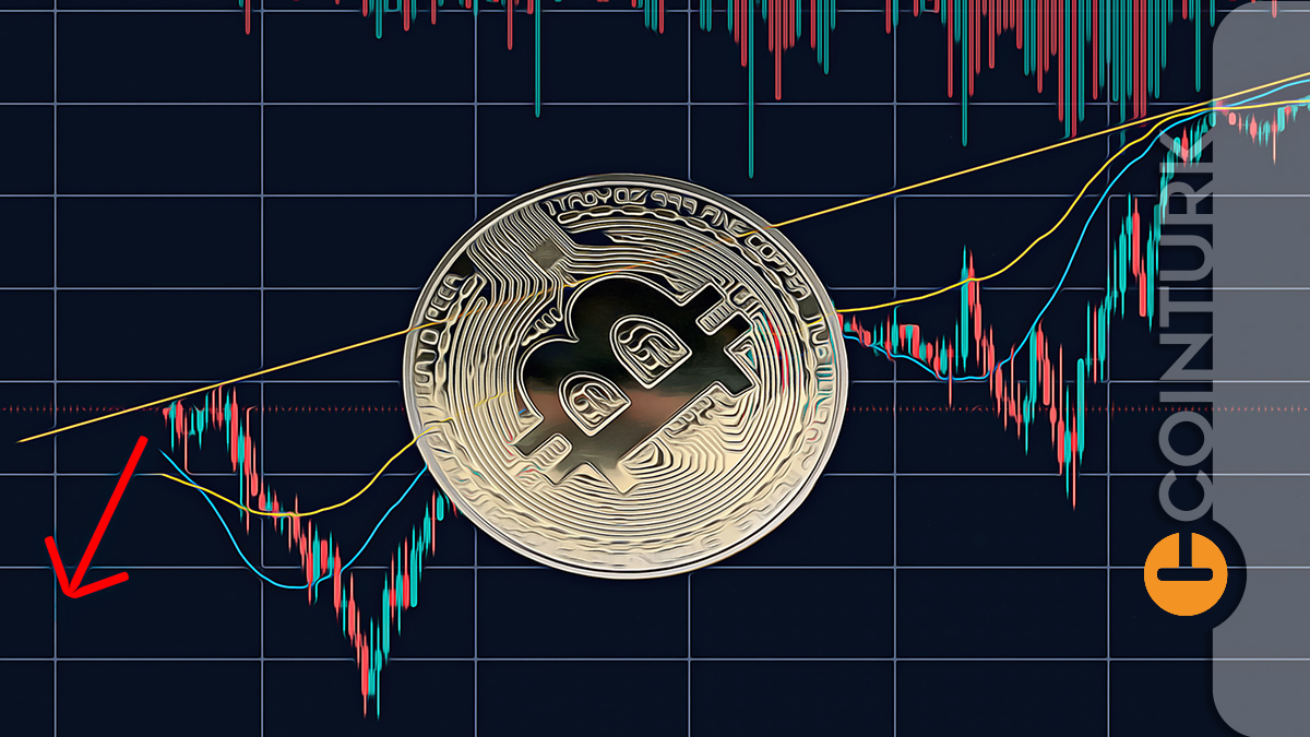 Dikkat! Korkutan Uzman Görüşü: Bitcoin 15.000 Dolara Düşebilir!
